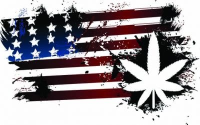 Pot Politics: November Ballots with Marijuana on the Line