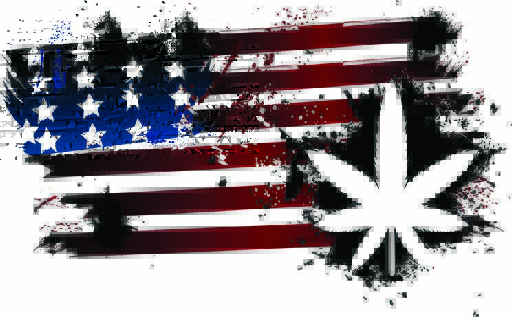 Artistic Marijuana USA Map