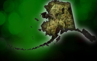Alaska Becomes 4th State to Legalize Recreational Marijuana
