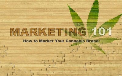 Marketing 101: How To Market Your Cannabis Brand