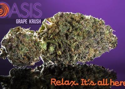 Digital 303 Custom Marijuana Graphics: Grape Crush Bud Oasis Cannabis Superstore
