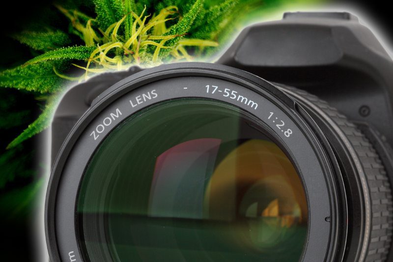 Cannabis Photography- Camera with Cannabis Leaf